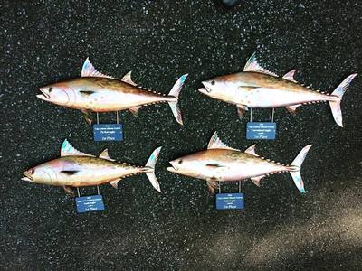 copper fish art trophies